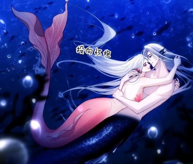 阿加雷斯(阿加雷斯和德萨罗do)
